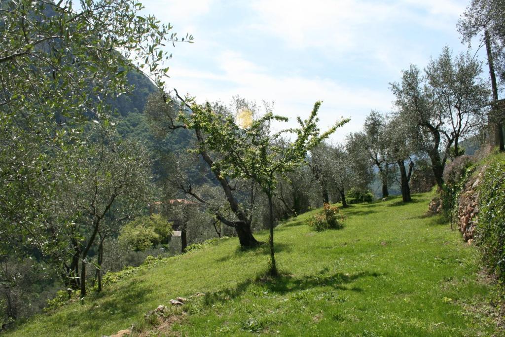 Gite Roya Mercantour Breil-sur-Roya Extérieur photo
