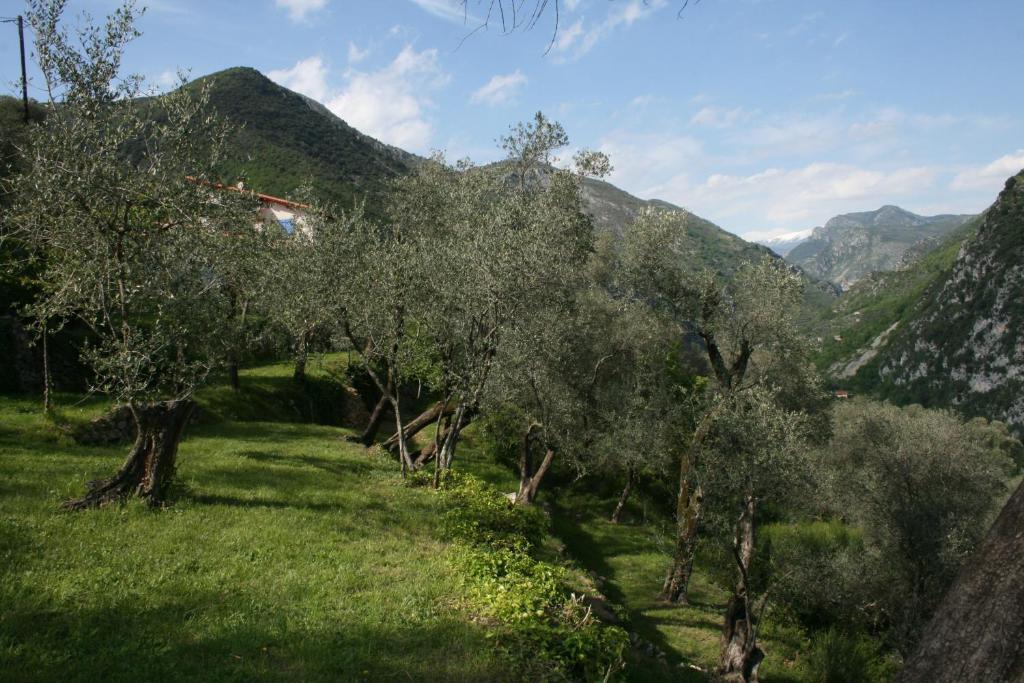 Gite Roya Mercantour Breil-sur-Roya Extérieur photo